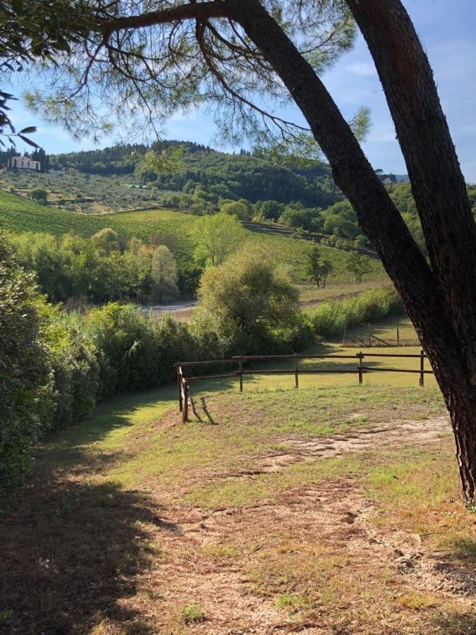 La Gufaia - Holiday House With Private Pool Near Florence Carmignano Luaran gambar