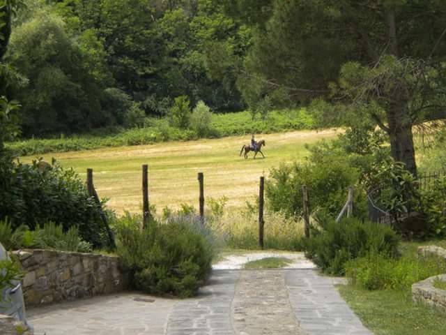 La Gufaia - Holiday House With Private Pool Near Florence Carmignano Luaran gambar
